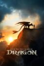 How to Train Your Dragon